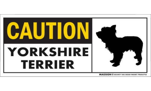 画像1: [MAGSIGN] ヨークシャーテリア(テディベアカット) マグネット＆ステッカー 英語 警戒 CAUTION YORKSHIRE TERRIER 対象:車(ドア/ガラス/ボディ)・屋外(玄関扉/窓ガラス/メールポスト) 日本製 (1)