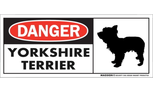 画像1: [MAGSIGN] ヨークシャーテリア(テディベアカット) マグネット＆ステッカー 英語 危ない 危険 DANGER YORKSHIRE TERRIER 対象:車(ドア/ガラス/ボディ)・屋外(玄関扉/窓ガラス/メールポスト) 日本製 (1)