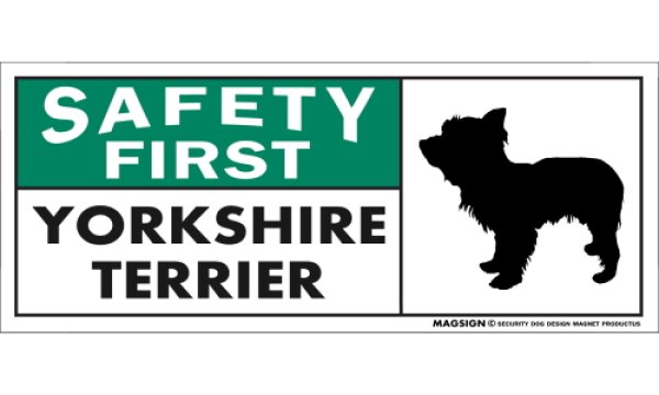 画像1: [MAGSIGN] ヨークシャーテリア(テディベアカット) マグネット＆ステッカー 英語 安全第一 SAFETY FIRST YORKSHIRE TERRIER 対象:車(ドア/ガラス/ボディ)・屋外(玄関扉/窓ガラス/メールポスト) 日本製 (1)