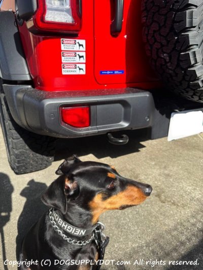 画像1: [MAGSIGN] ジャーマンピンシャー マグネット＆ステッカー 英語 危ない 危険 DANGER GERMAN PINSCHER 対象:車(ドア/ガラス/ボディ)・屋外(玄関扉/窓ガラス/メールポスト) 日本製