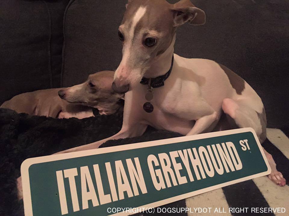 ITALIAN GREYHOUNDサインボード