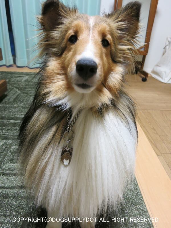 可愛すぎるIDに大満足!!