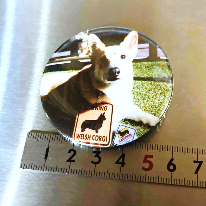 缶バッヂの大きさはおおよそ直径6cm
