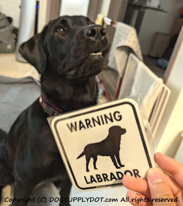 warning!!