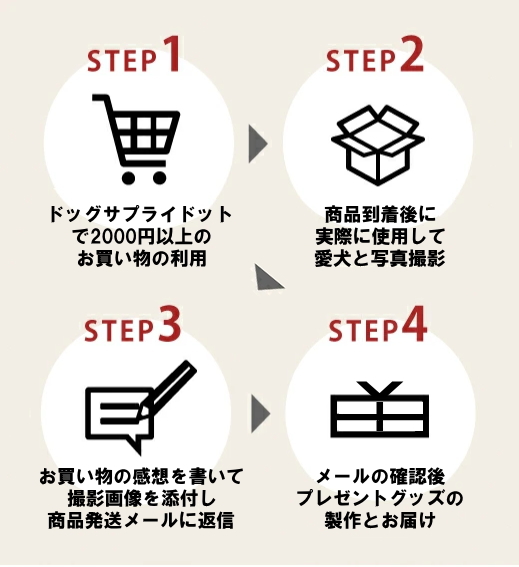 プレゼント獲得の流れ