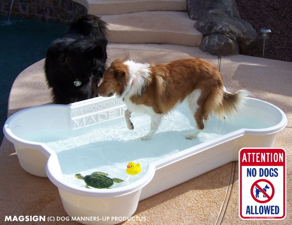 犬お断り,犬の立入禁止,英語,注意,マグネット,ステッカー,ATTENTION NO DOGS ALLOWED