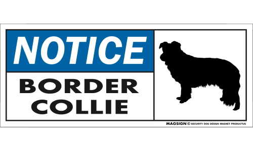 ボーダーコリー,車,マグネット,バンパーステッカー,英語,お知らせ,NOTICE,BORDER COLLIE,強粘着ステッカー,屋外,防水性能,耐水性,耐光性,耐候性,日本製