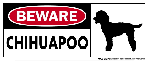 チワプー,マグネット,犬,車,バンパーステッカー,注意,英語,BEWARE,CHIHUAPOO,強粘着ステッカー,屋外,防水性能,耐水性,耐光性,耐候性,日本製