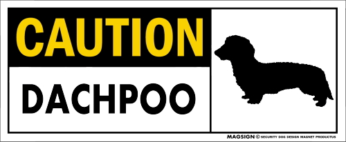 ダップー,車,マグネット,バンパーステッカー,強粘着ステッカー,CAUTION,DACHPOO,英語,警戒,屋外,防水性能,耐水性,耐光性,耐候性,日本製