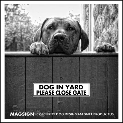 DOG IN YARD,PLASE CLOSE GATE,英語,犬が庭にいます,扉を閉めてください,カーマグネット,バンパーステッカー