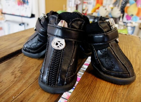 小型犬用の靴:ドッグスニーカー(ハイカットシューズ、ラバーソール)