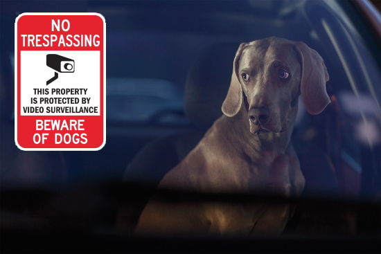 NO TRESPASSING-BEWARE OF DOGS マグネットサイン