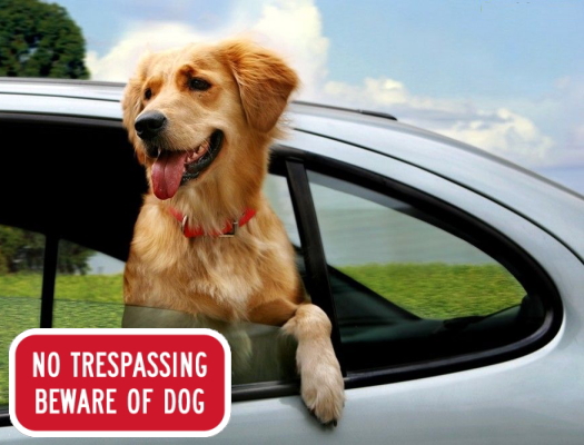 NO TRESPASSING BEWARE OF DOG マグネットサイン