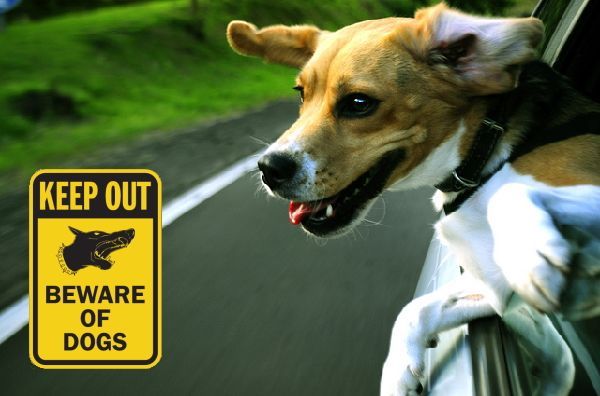 KEEP OUT BEWARE OF DOGS マグネットサイン