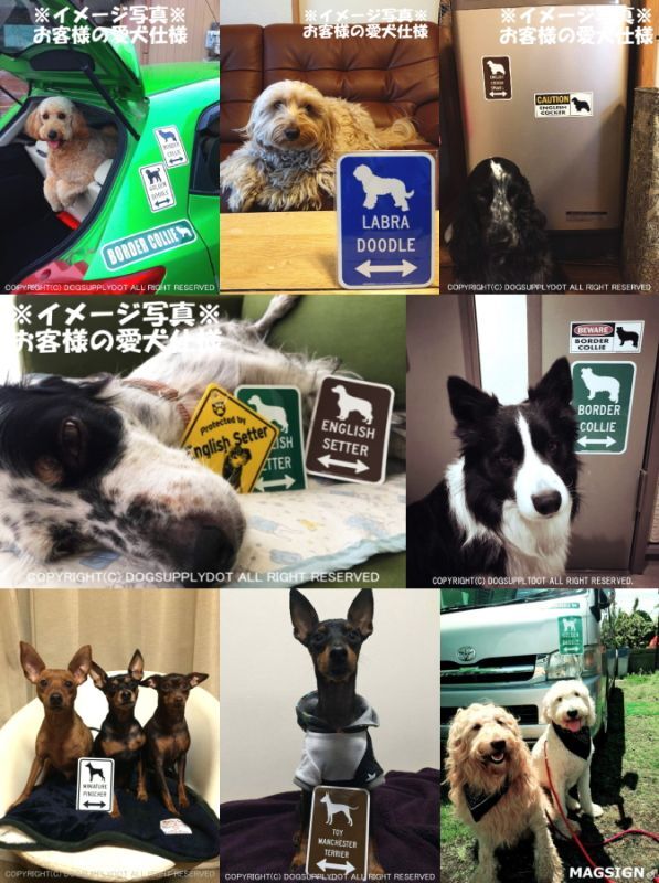 犬種シルエット＆矢印 注意 ここにいます 道路標識 英語マグサイン(マグネット＆ステッカー)