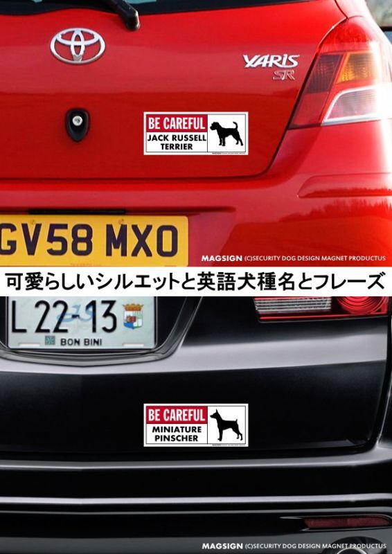 英語,気を付けて,ジャックラッセルテリア,ミニチュアピンシャー,マグネット,カーマグネット,車,防水性能,耐水性,耐光性,耐候性,日本製