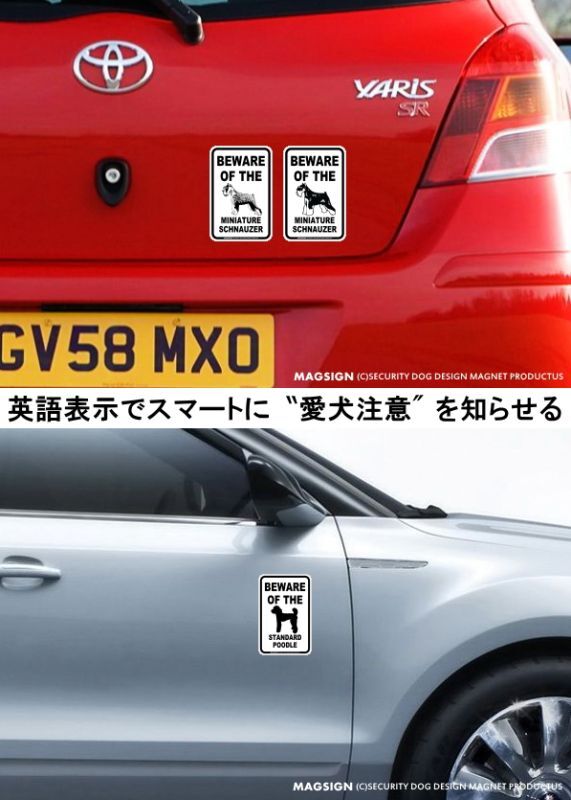 ミニチュアシュナウザー,スタンダードプードル,英語,犬注意,マグネット,ステッカー,シール,車,窓ガラス,玄関,扉,ドアー,郵便受け,メールポスト