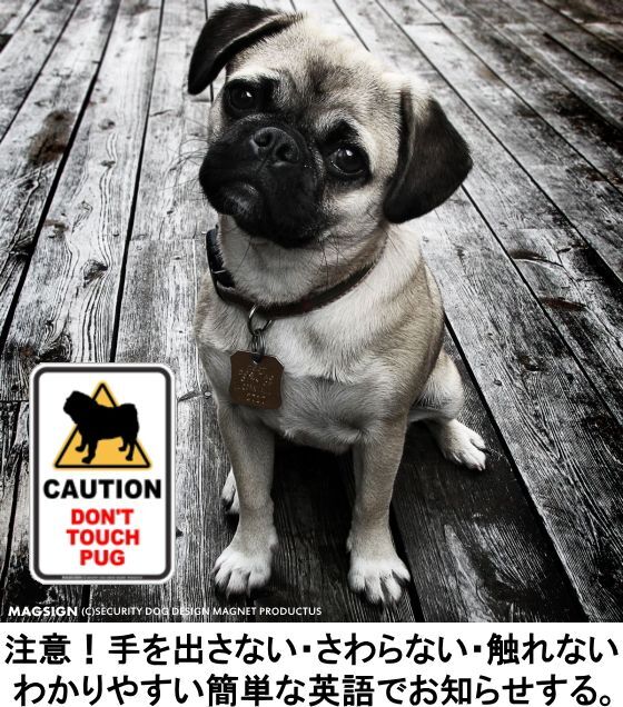 CAUTION DON'T TOUCH,犬,注意,マグネット,ステッカー,車,カーマグネット,英語,手を出さない,触れない,さわらない,強力磁石,強い吸着力,屋外,長持ち,防水,耐水,耐光,日本製