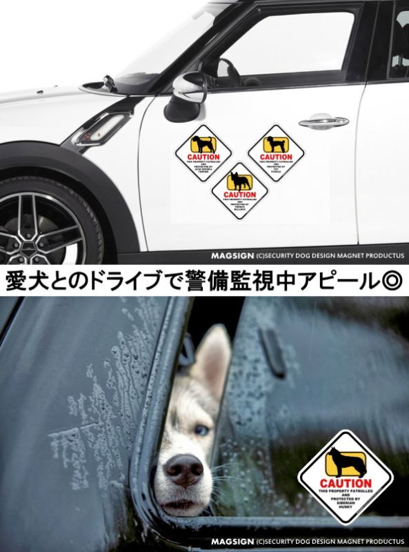 アイリッシュセッター 英語 犬注意/私有地/警備監視中 マグネット