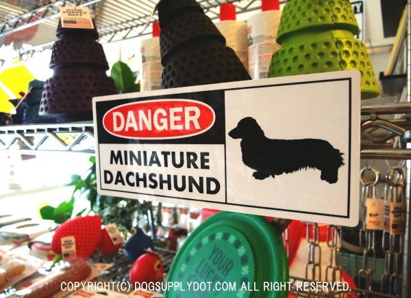 DANGER 英語 マグネット サインボード:危険ミニチュアダックスフンド