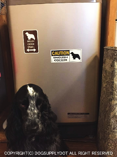 イングリッシュコッカースパニエルのシルエット＆矢印 アメリカン道路標識 英語犬種名 マグネット/ステッカーを洗濯機に貼り付けています♪