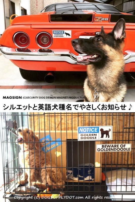 ジャーマンシェパード,アメリカン,車,マグネット,ゴールデンドゥードル,サークル,クレート,犬舎,英語,お知らせ,防水性能,耐水性,耐光性,耐候性,日本製