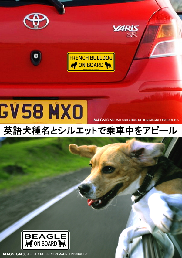 犬乗車中,英語,カーマグネット,バンパーステッカー,英語犬種名とシルエットで愛犬が乗っていることをアピール