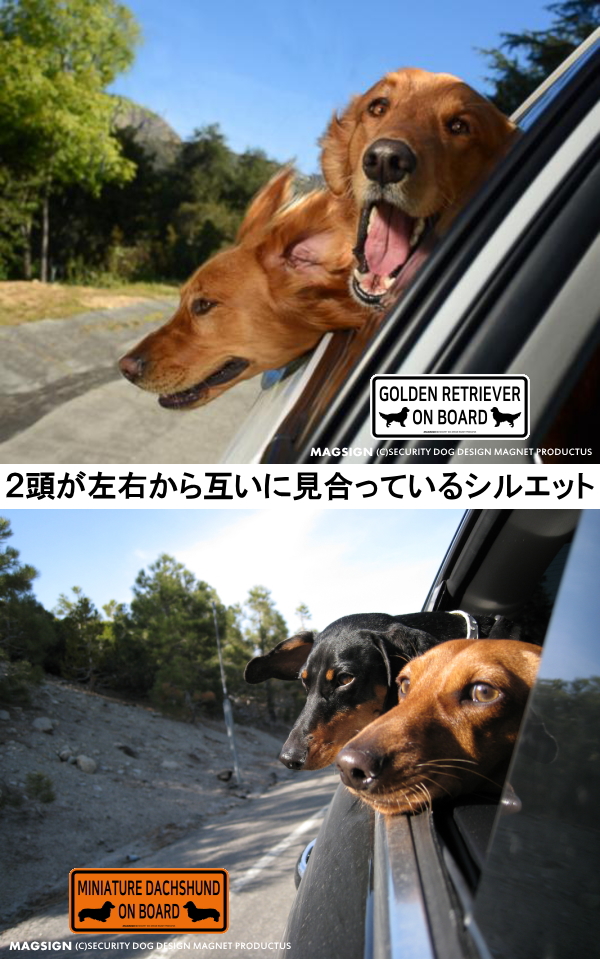犬乗車中,英語,カーマグネット,バンパーステッカー,2頭が左右からお互いに見合っているシルエット英語犬種名とシルエット