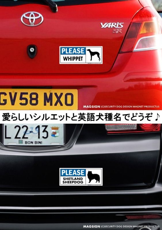 ウィペット,シェットランドシープドッグ,シェルティー,マグネット,車,英語,喜ぶ,満足,屋外,防水性能,耐水性,耐光性,耐候性,日本製