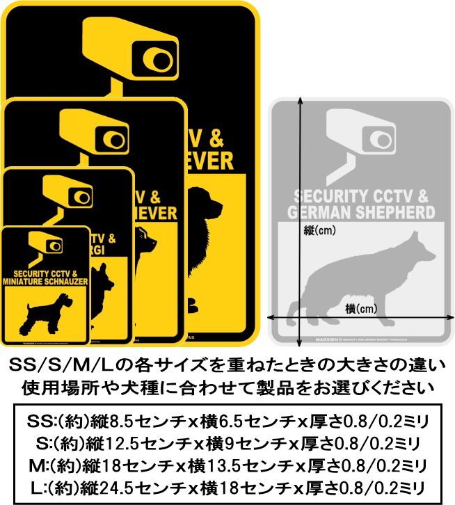 サイズ比較、大きさと寸法表