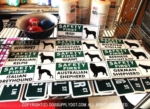 SAFETY FIRST 英語 マグネット サインボード：アメリカンな犬種別セーフティーマグネット