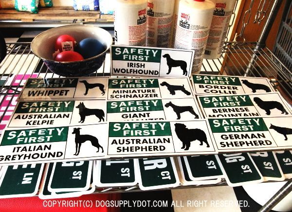 SAFETY FIRST 英語 マグネット サインボード:アメリカンな犬種別セーフティーマグネット
