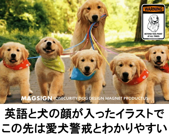 ゴールデンレトリバー,警戒,マグネット,ステッカー,英語,ここから先,この先は,常に,いつも,何時も,常時