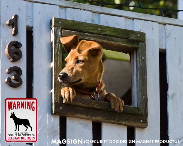 犬,英語,注意,警告,マグネット,ステッカー,WARNING