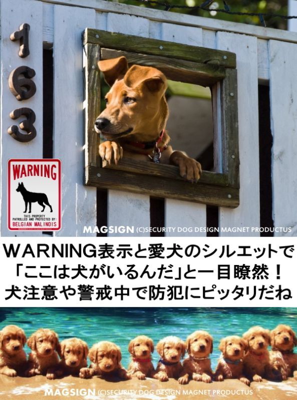 WARNING,英語,警告,資産,保護,警戒,マグネット,ステッカー