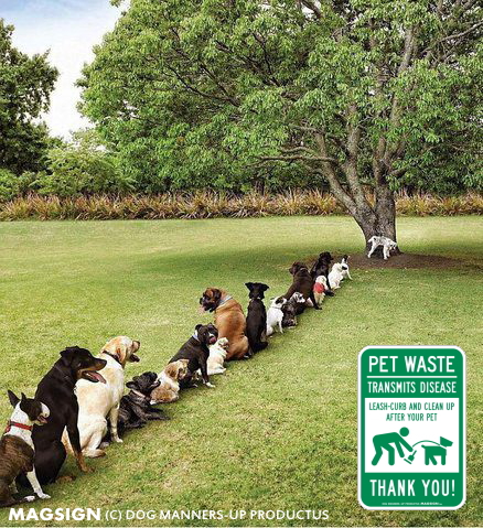 ペットの排泄物,糞,清掃,後始末,ありがとう,英語,マグネット,ステッカー,PET WASTE,CLEAN UP,THANK YOU