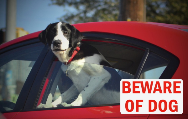 BEWARE OF DOG マグネットサイン