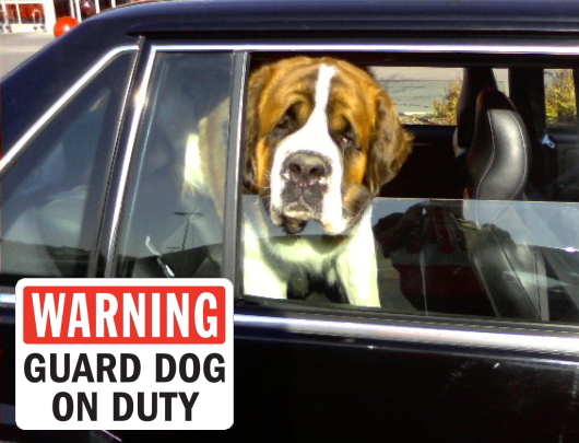 WARNING GUARD DOG ON DUTY マグネットサイン