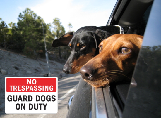 NO TRESPASSING GUARD DOGS ON DUTY マグネットサイン