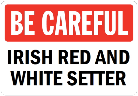 オーダーメイドのマグネットサイン:BE CAREFUL IRISH RED AND WHITE SETTER