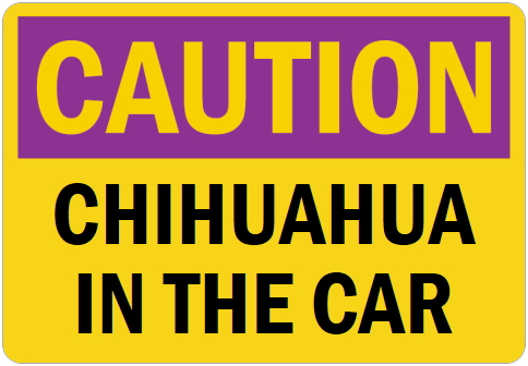 オーダーメイドのマグネットサイン:CAUTION CHIHUAHUA IN THE CAR