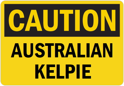 オーダーメイドのマグネットサイン:CAUTION AUSTRALIAN KELPIE