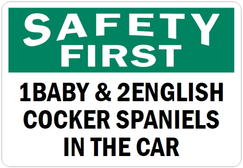オーダーメイドのマグネットサイン:SAFETY FIRST 1BABY & 2ENGLISH COCKER SPANIELS IN THE CAR