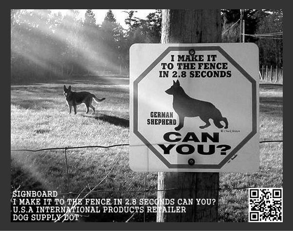 69％以上節約 注意看板犬許可区域アメリカン サインボード ドッグサイン イヌ CA-60 メッセージ看板 看板 警告看板 プラスチック看板 案内看板  犬